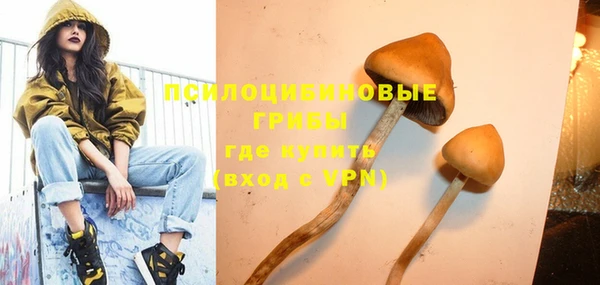 прущий лед Алзамай